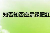 知否知否应是绿肥红瘦什么意思指什么意思