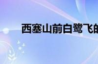 西塞山前白鹭飞的下一句指什么意思