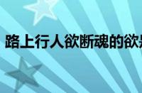 路上行人欲断魂的欲是什么意思?指什么意思