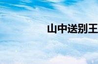 山中送别王维指什么意思