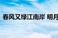 春风又绿江南岸 明月何时照我还指什么意思