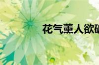 花气薰人欲破禅指什么意思