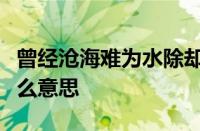 曾经沧海难为水除却巫山不是云什么意思指什么意思