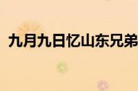 九月九日忆山东兄弟古诗的意思指什么意思