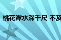 桃花潭水深千尺 不及汪伦送我情指什么意思