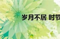 岁月不居 时节如流指什么意思