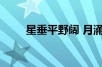 星垂平野阔 月涌大江流指什么意思