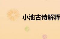 小池古诗解释意思指什么意思