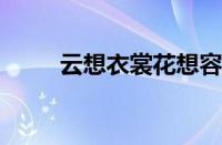 云想衣裳花想容下一句指什么意思