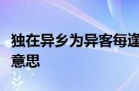 独在异乡为异客每逢佳节倍思亲的意思指什么意思