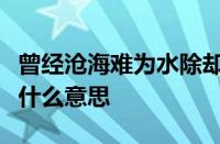 曾经沧海难为水除却巫山不是云是什么意思指什么意思