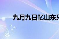 九月九日忆山东兄弟王维指什么意思