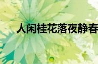 人闲桂花落夜静春山空全诗指什么意思