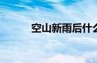 空山新雨后什么意思指什么意思