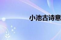 小池古诗意思指什么意思