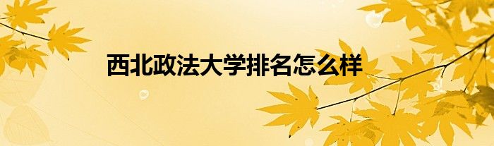 西北政法大学排名怎么样