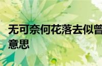 无可奈何花落去似曾相识燕归来的意思指什么意思