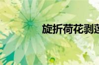 旋折荷花剥莲子指什么意思