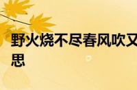 野火烧不尽春风吹又生的意思是什么指什么意思