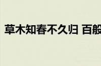 草木知春不久归 百般红紫斗芳菲指什么意思