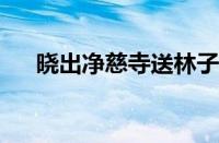 晓出净慈寺送林子方的诗意指什么意思