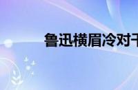 鲁迅横眉冷对千夫指指什么意思