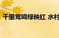 千里莺啼绿映红 水村山郭酒旗风指什么意思