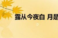 露从今夜白 月是故乡明指什么意思