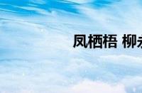 凤栖梧 柳永指什么意思