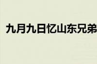 九月九日忆山东兄弟山东指什么指什么意思