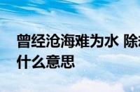 曾经沧海难为水 除却巫山不是云什么意思指什么意思