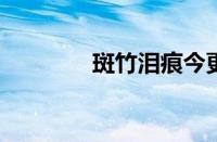 斑竹泪痕今更多指什么意思