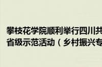 攀枝花学院顺利举行四川共青团“逐梦计划”省级示范活动（乡村振兴专场）