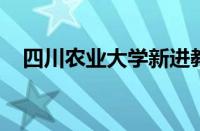 四川农业大学新进教师岗前培训圆满举行