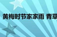 黄梅时节家家雨 青草池塘处处蛙指什么意思