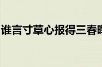 谁言寸草心报得三春晖是什么意思指什么意思