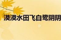 漠漠水田飞白鹭阴阴夏木啭黄鹂指什么意思