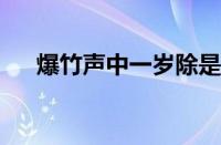 爆竹声中一岁除是什么节日指什么意思