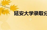 延安大学录取分数线2023怎么样