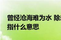 曾经沧海难为水 除却巫山不是云是什么意思指什么意思