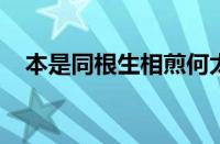 本是同根生相煎何太急的意思指什么意思