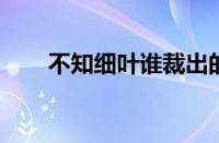 不知细叶谁裁出的下一句指什么意思