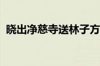 晓出净慈寺送林子方古诗的意思指什么意思