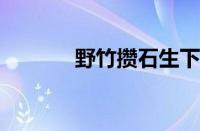 野竹攒石生下一句指什么意思