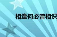 相逢何必曾相识下一句指什么意思