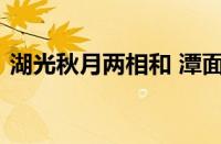 湖光秋月两相和 潭面无风镜未磨指什么意思