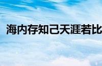 海内存知己天涯若比邻是谁写的指什么意思