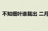 不知细叶谁裁出 二月春风似剪刀指什么意思