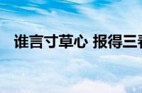 谁言寸草心 报得三春晖的意思指什么意思