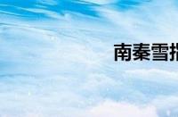 南秦雪指什么意思